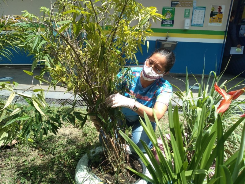 Com apoio da Fapeam, projeto leva conhecimento sobre plantas medicinais para alunos da rede pública em Manaus