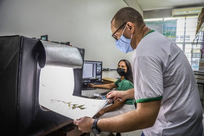 Revitalização e digitação do acervo do Herbário da Ufam recebe apoio do Governo do Estado