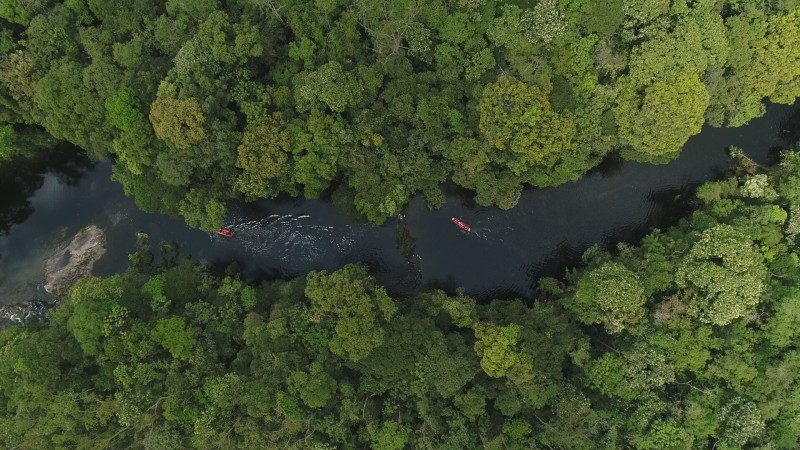 Parque das Neblinas participa da campanha Um Dia No Parque 2022
