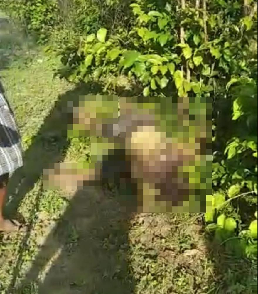 Corpo de jovem é encontrado em estado de decomposição em Demerval Lobão-PI