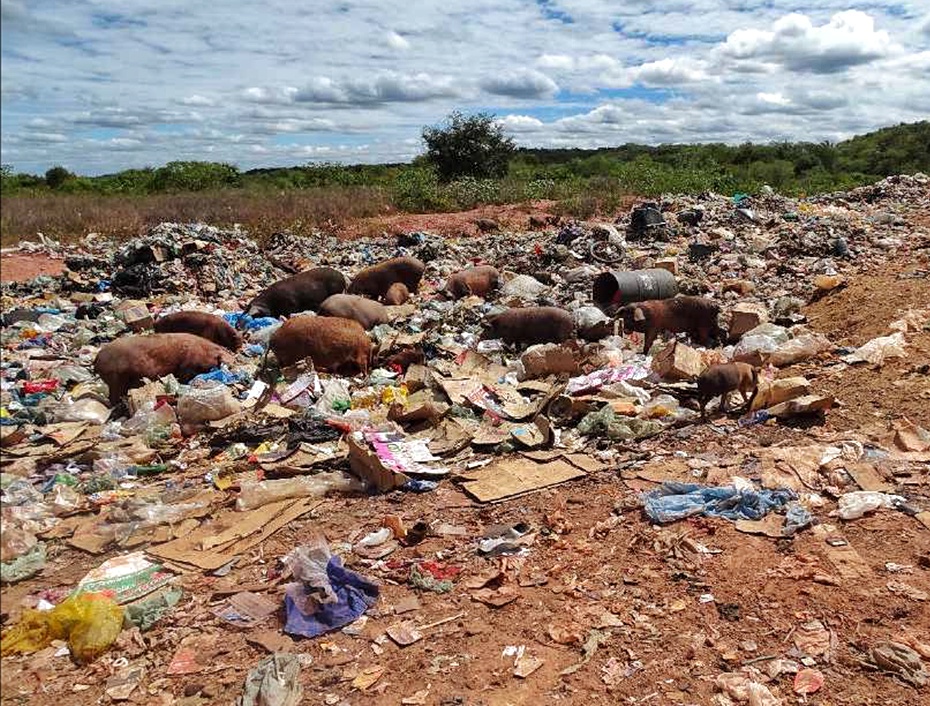 Prefeituras de Lagoa do Piauí, Olho D’Água do Piauí e Palmeirais são denunciadas por manterem lixões a céu aberto