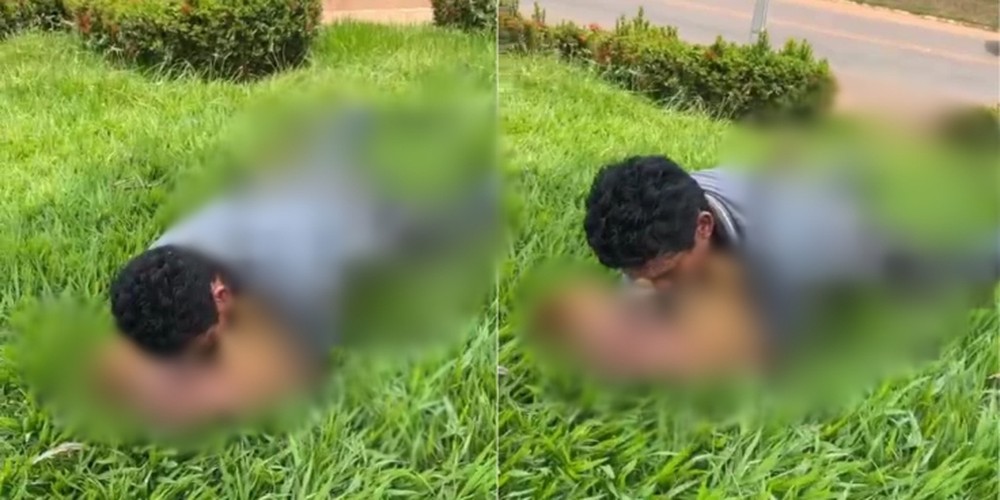 Homem é linchado após ser flagrado cometendo abuso sexual com cadela no Maranhão