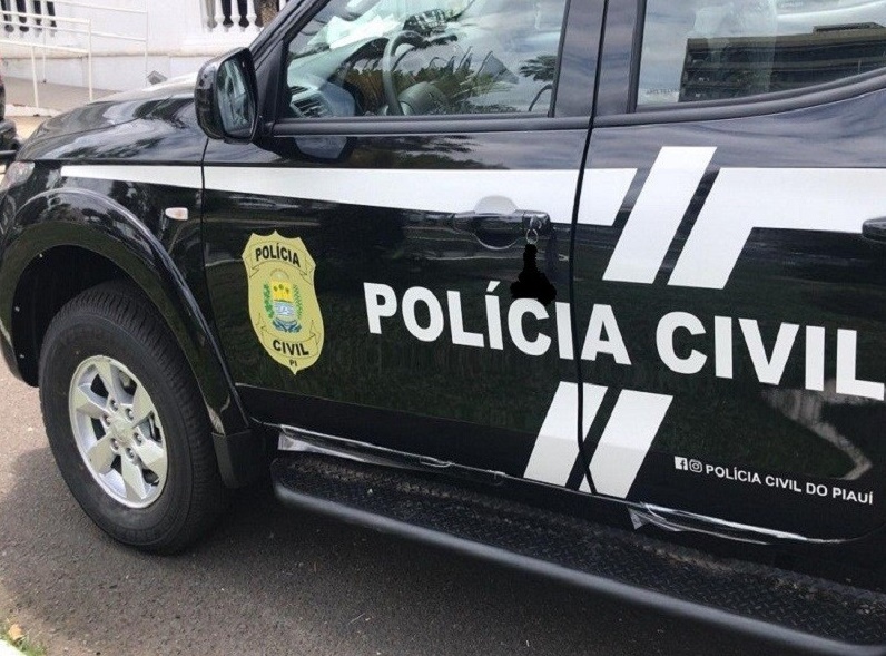 Presos suspeitos de furtar veículos de locadoras e causar prejuízo de R$ 1 milhão