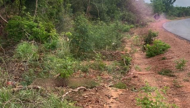 Homem é encontrado morto na BR 135 em Gilbués