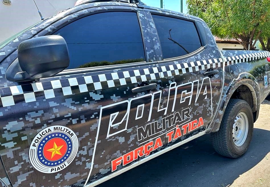 Jovem é presa acusada de agredir a própria avó de 65 anos em Água Branca