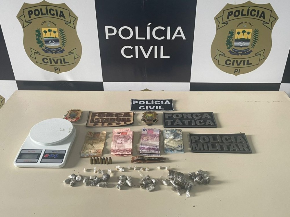 Atualização: Polícia Civil prende homem em flagrante por diversos crimes em Amarante