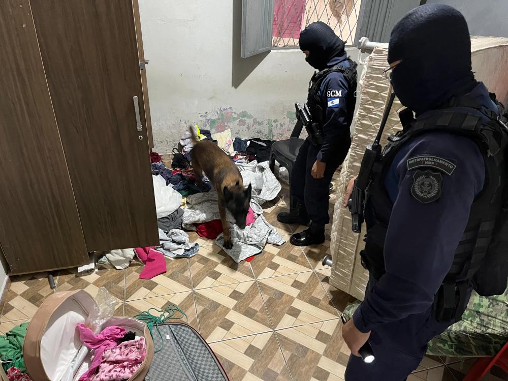 DENARC cumpre mandados e prende duas pessoas na zona Norte de Teresina