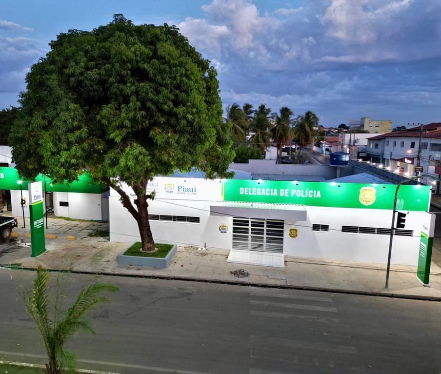Homem é preso acusado de estuprar enteada de 7 anos em Esperantina