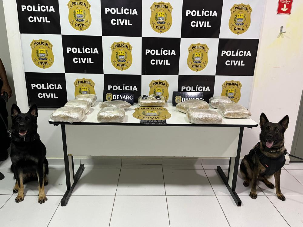 Polícia apreende 10kg de skank em ônibus de viagem durante operação da DENARC