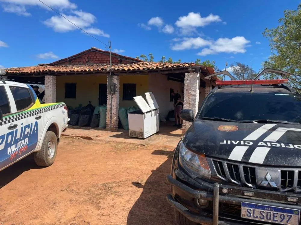 Polícia Civil do Piauí apreende 390 quilos de droga e prende 7 pessoas em flagrante