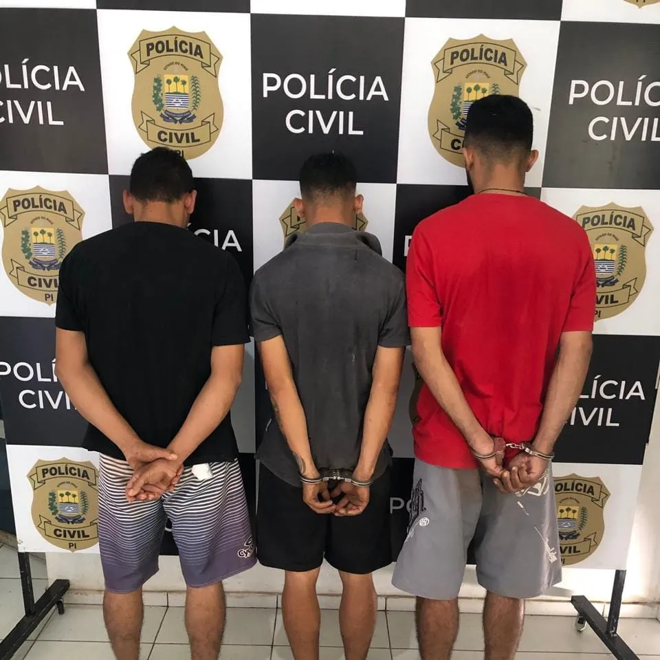Operação policial resulta em apreensões e prisões no norte do Piauí