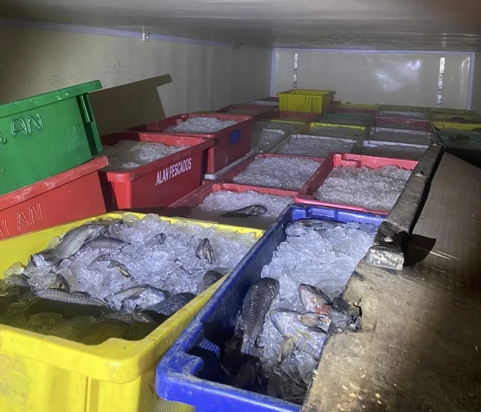 Polícia Militar apreende 8 toneladas de peixes transportados Ilegalmente no Piauí