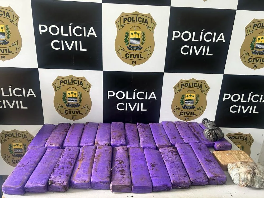 Polícia apreende grande quantidade de maconha em Amarante