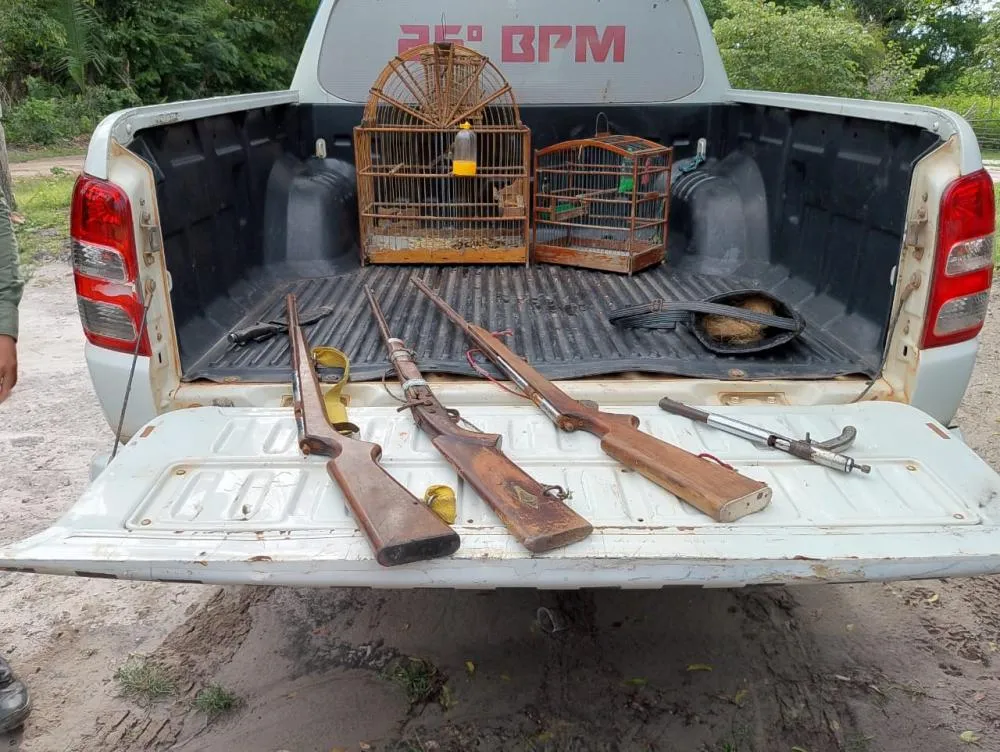 PM encontra armas e cativeiro de aves silvestres em bar no interior do Piauí; proprietário foi preso