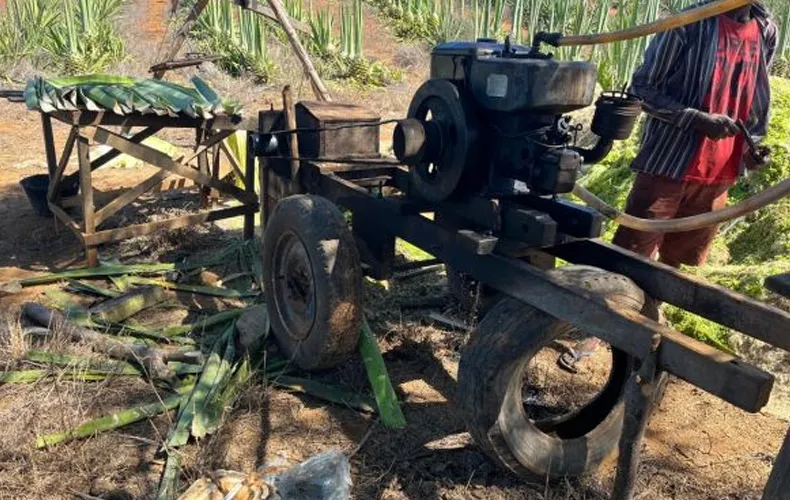 Trinta trabalhadores piauienses são resgatados em situação análoga à escravidão na Bahia