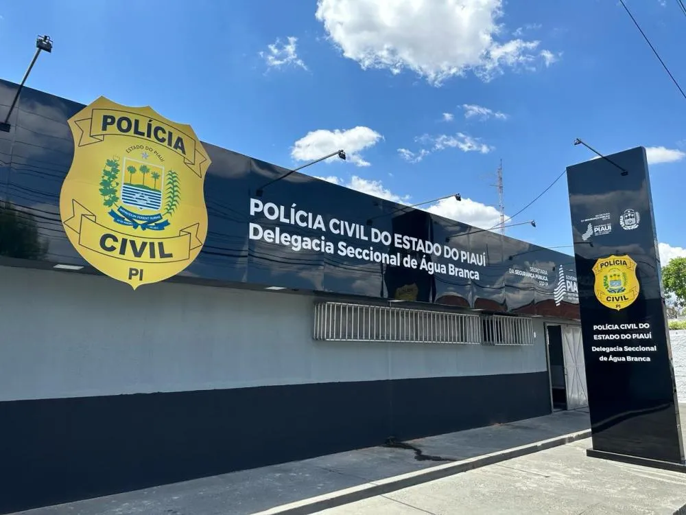 Homem é preso após agredir companheira e ter mandado de prisão cumprido em Olho D’Água do Piauí