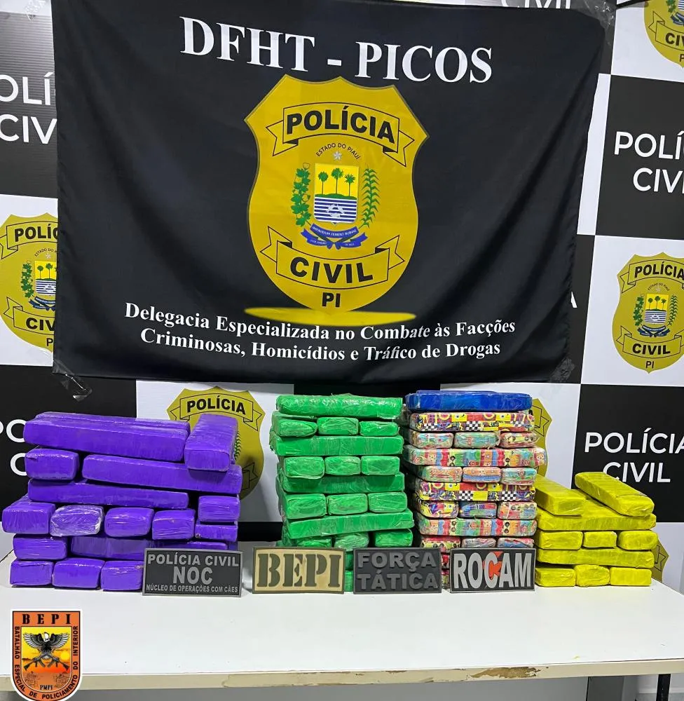 Ação integrada das forças de segurança resulta na apreensão de 100 tabletes de maconha em Picos