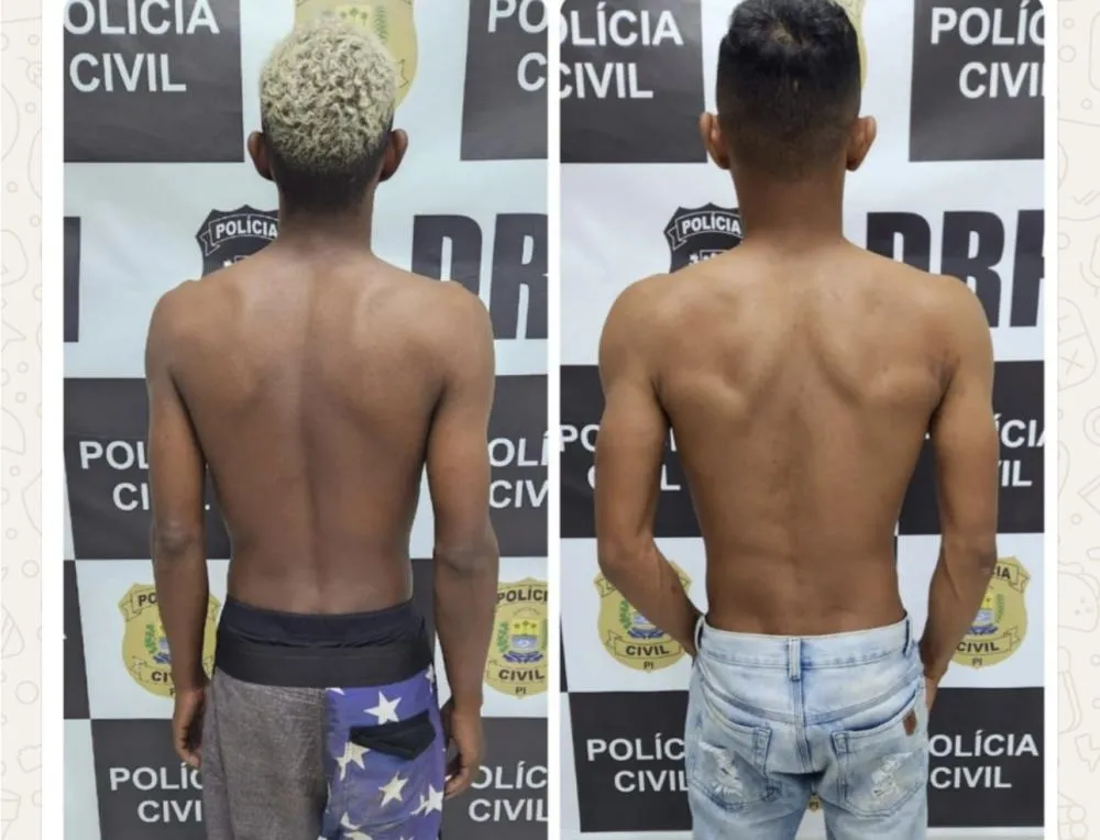 Polícia Civil prende suspeitos de roubos e furtos de veículos