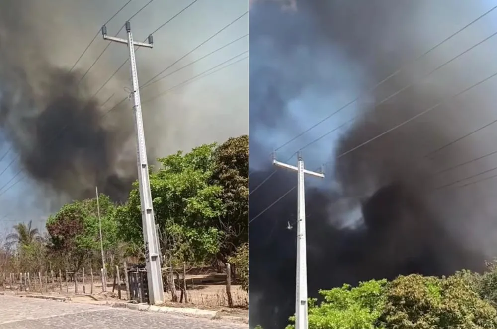 Criança com medo diz que não quer morrer ao ver o fogo se aproximar de sua casa em Palmeirais