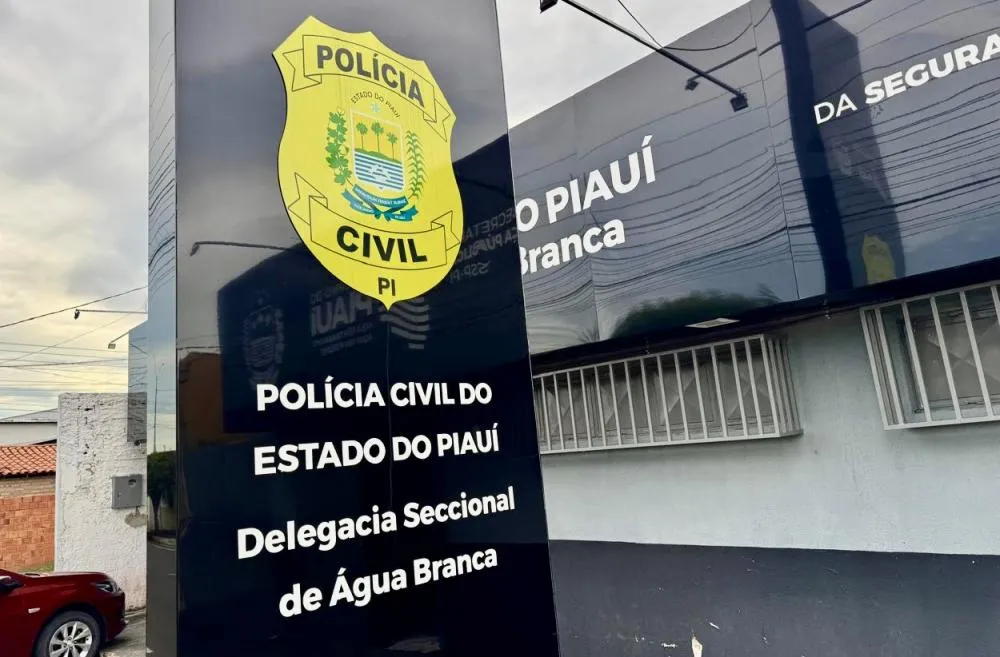 Homem preso no bairro Portelinha em Água Branca estava com 480 invólucros de cocaína, dinheiro e arma de fogo