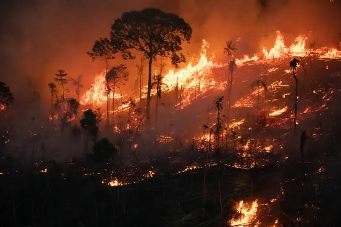 Incêndios de grandes proporções devastam áreas rurais de Hugo Napoleão e deixam rastro de destruição ambiental