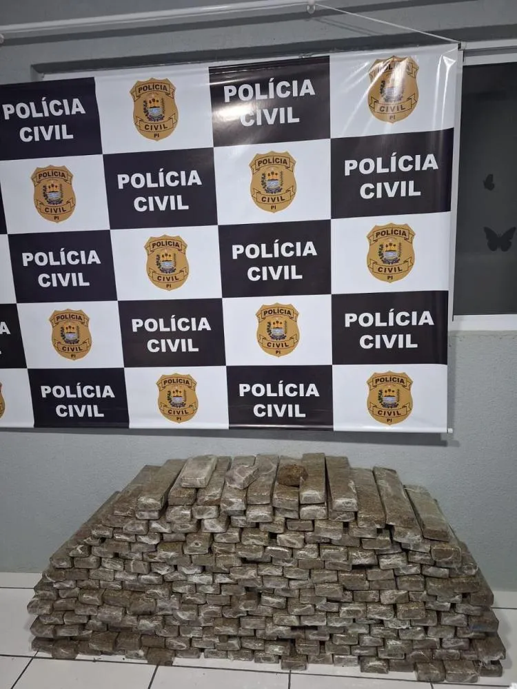Polícia apreende 250 kg de skank avaliados em R$ 2 milhões escondidos em ônibus no sul do Piauí