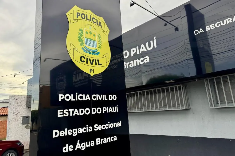 Polícia prende suspeito de assassinar jovem de Passagem Franca do Piauí em Água Branca