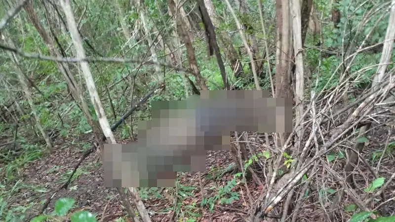 Corpo de homem desaparecido é achado em mata de Curralinhos