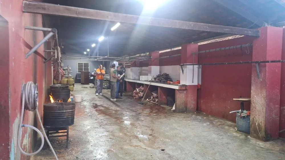 Abatedouro clandestino é descoberto no litoral do Piauí após denúncias