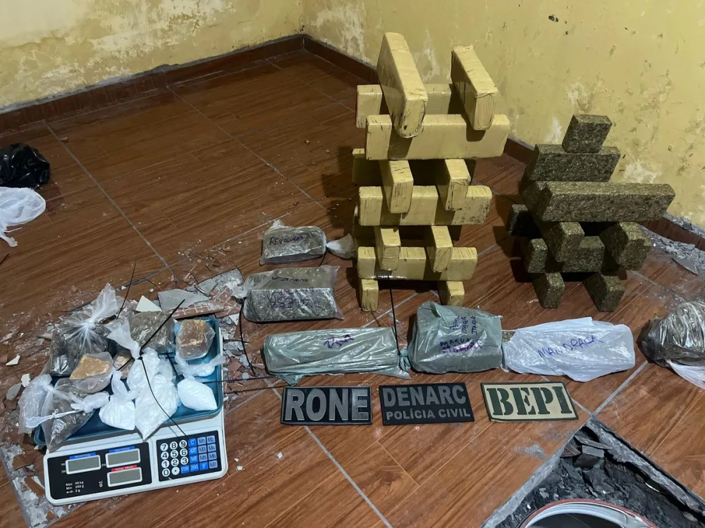 Polícia apreende 20 kg de drogas enterrados em casa na Zona Norte de Teresina