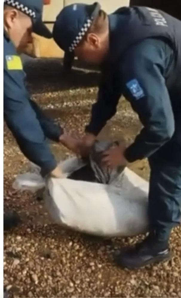 Mulher é presa com espingarda escondida em saco de carvão dentro de ônibus em Teresina