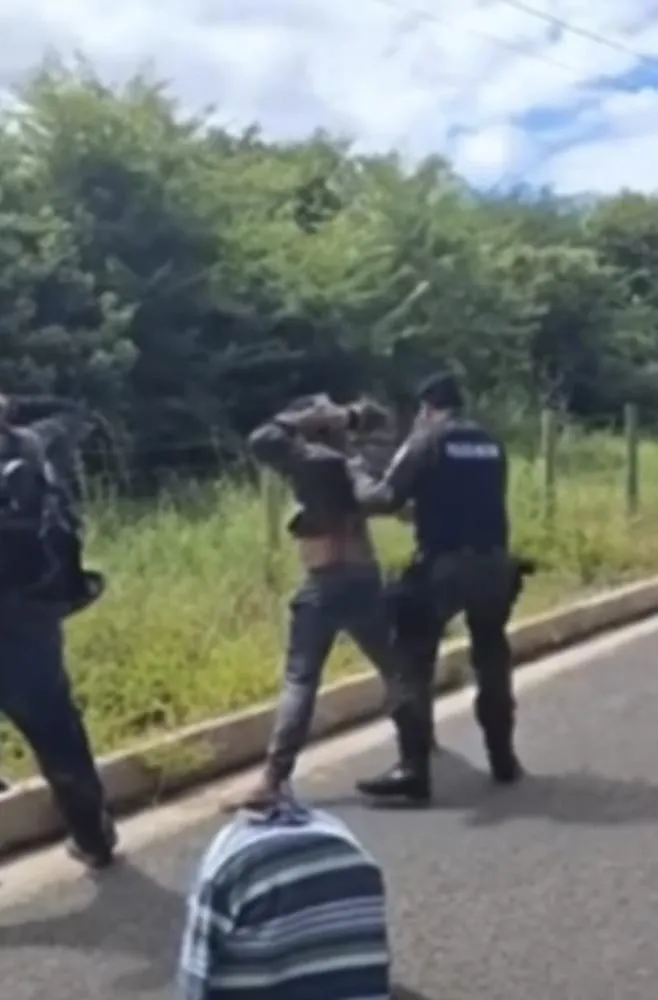 PM apreende aves silvestres e autua duas pessoas na zona Sudeste de Teresina