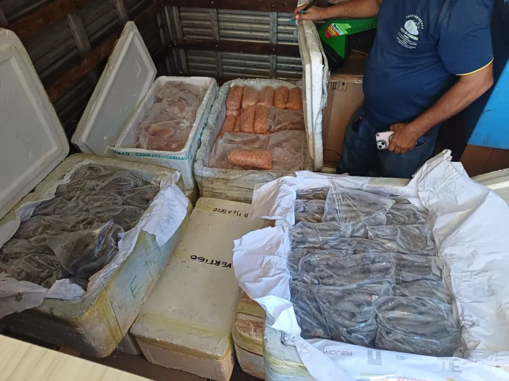 PRF apreende 650 kg de alimentos sem origem na BR-343 no Piauí