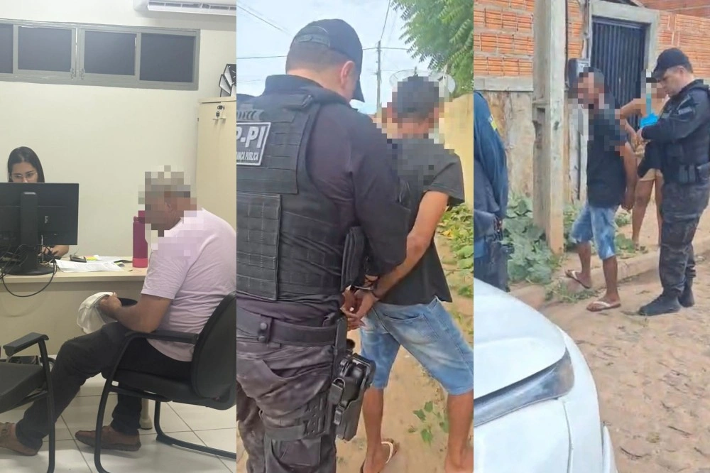 Operações no Norte do PI combatem crimes e apreendem animais em rodovias