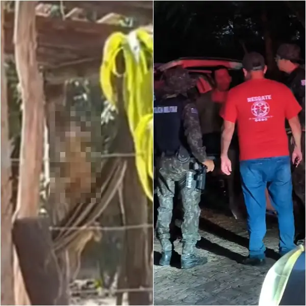 Homem é preso em José de Freitas por enforcar e ocultar corpo de cachorro