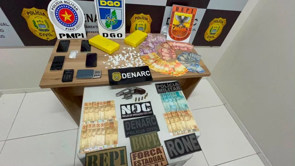 Ação integrada do Denarc cumpre 20 mandados de busca e apreensão em Teresina
