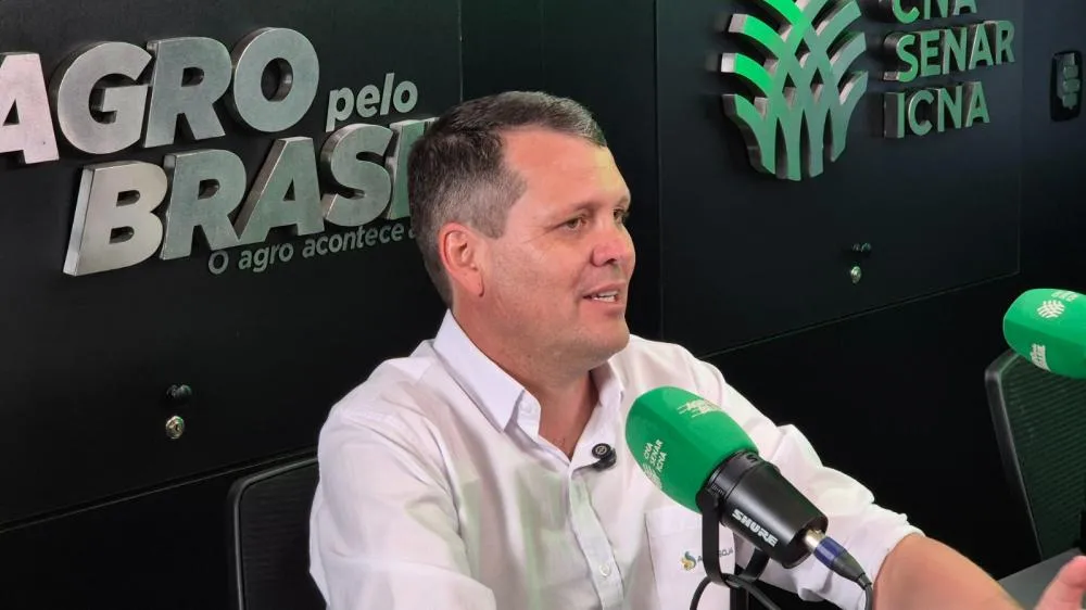 Agro coloca 4 municípios do Cerrado entre as maiores economias do Piauí