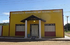 Miguel Leão - PI